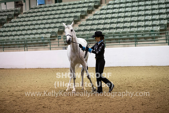 R319_MonAM_0084