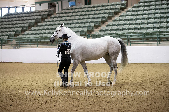 R319_MonAM_0085