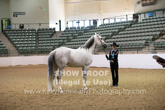 R319_MonAM_0086