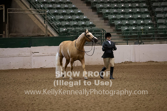 R319_MonAM_0091