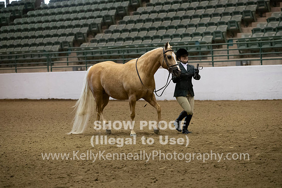 R319_MonAM_0095