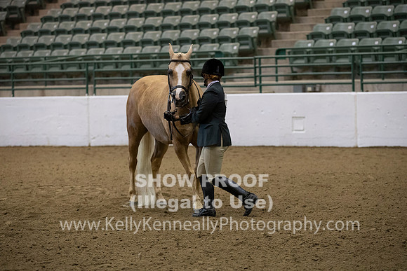 R319_MonAM_0096