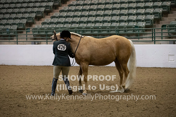 R319_MonAM_0097