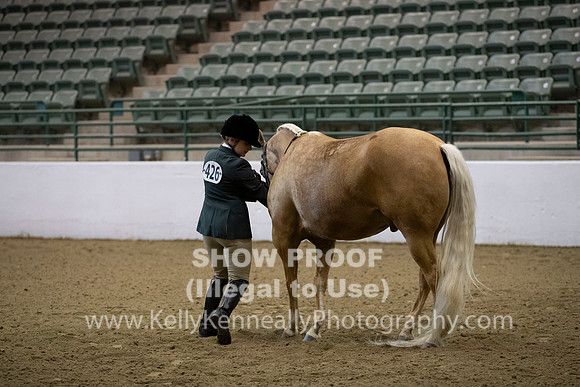 R319_MonAM_0098
