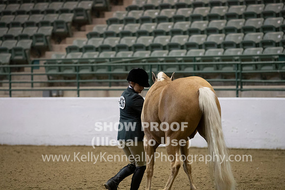 R319_MonAM_0099