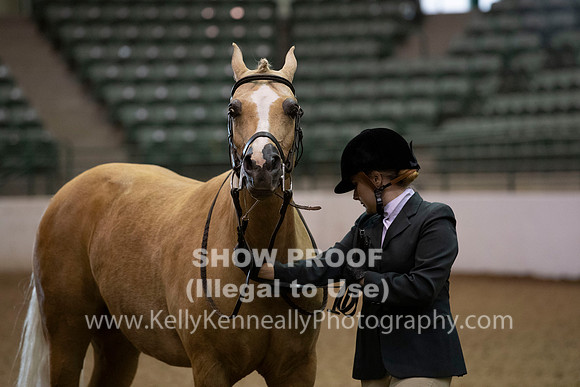 R319_MonAM_0104