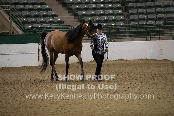 R319_MonAM_0108