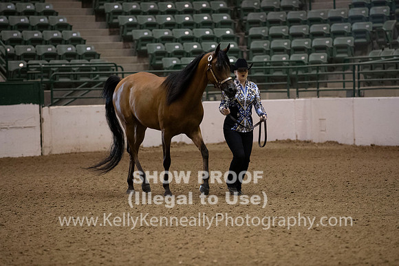 R319_MonAM_0109