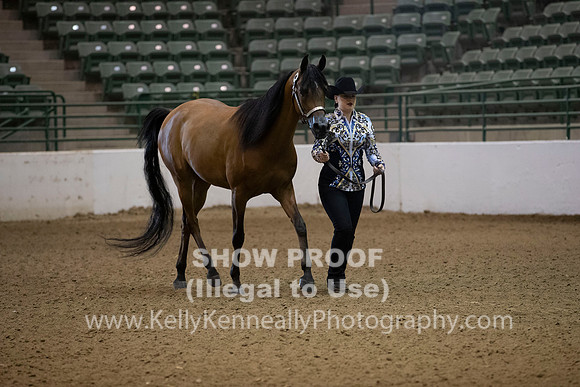 R319_MonAM_0110