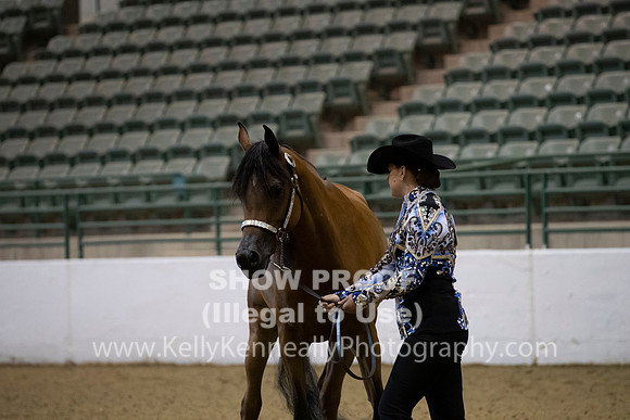 R319_MonAM_0111