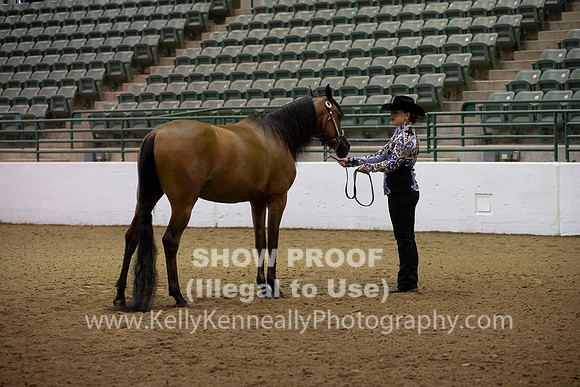 R319_MonAM_0113