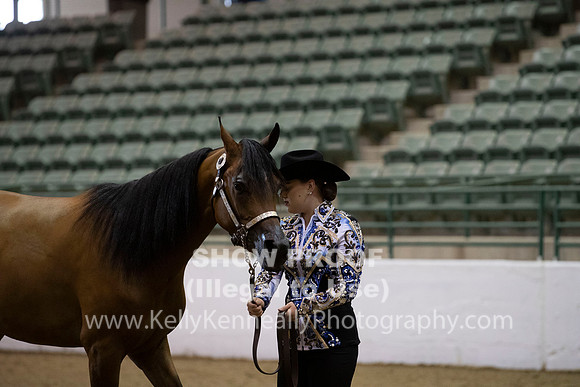 R319_MonAM_0114