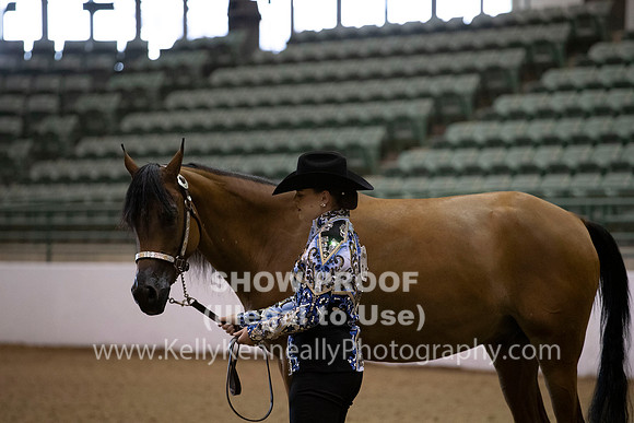 R319_MonAM_0117