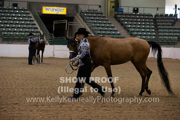 R319_MonAM_0119