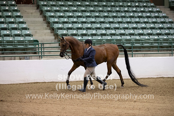 R319_MonAM_0131