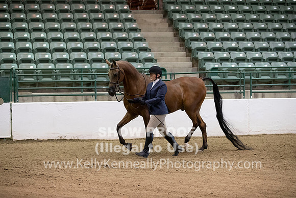 R319_MonAM_0132