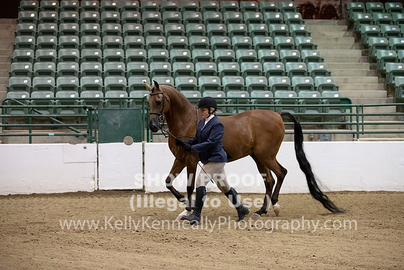 R319_MonAM_0133
