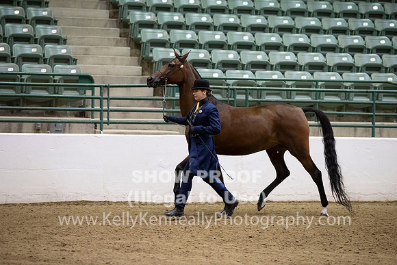 R319_MonAM_0139