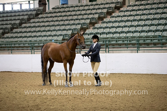 R319_MonAM_0144