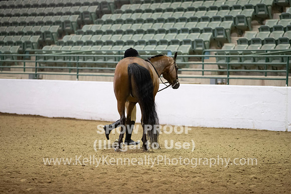 R319_MonAM_0146