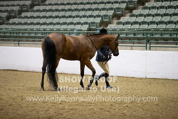 R319_MonAM_0147