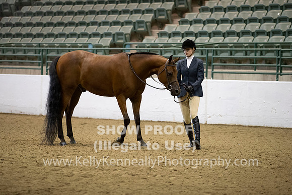 R319_MonAM_0149
