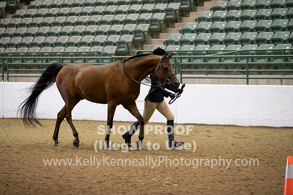 R319_MonAM_0151