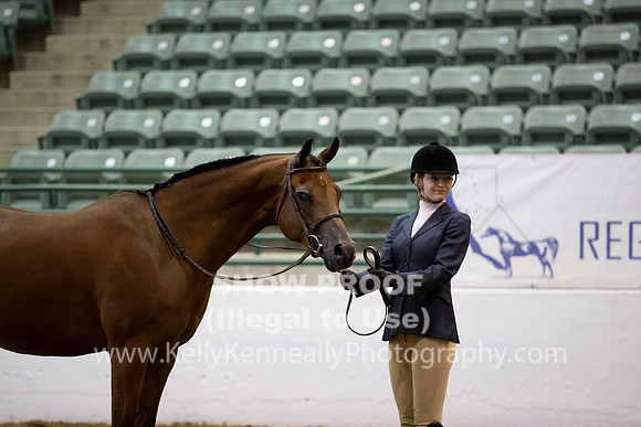 R319_MonAM_0154