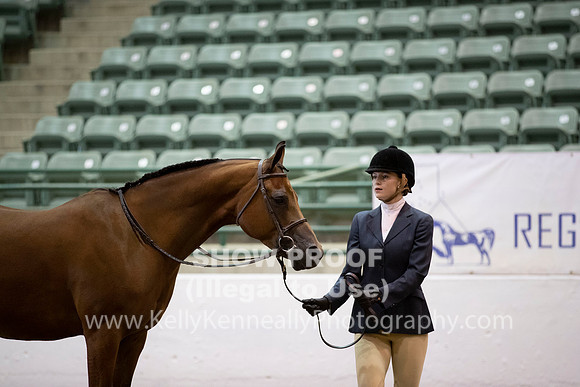 R319_MonAM_0155