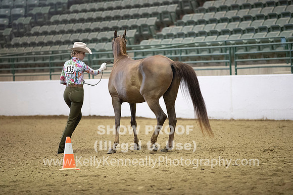 R319_MonAM_0161