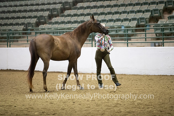 R319_MonAM_0162