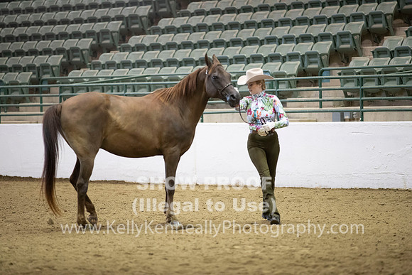 R319_MonAM_0163