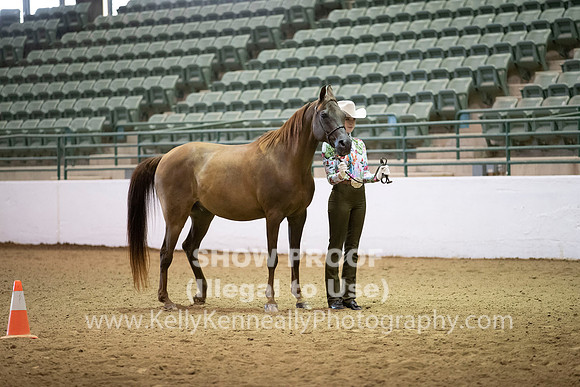 R319_MonAM_0164