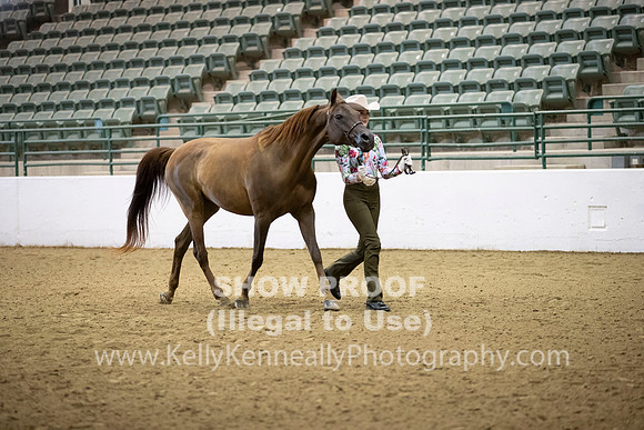 R319_MonAM_0165