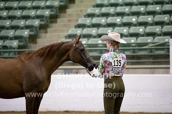 R319_MonAM_0170