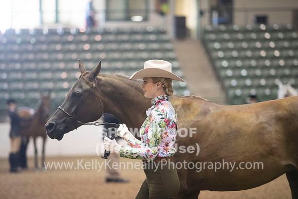 R319_MonAM_0174