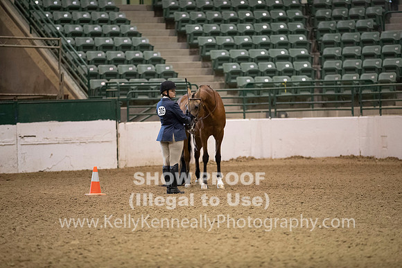 R319_MonAM_0175