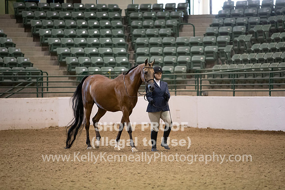 R319_MonAM_0176