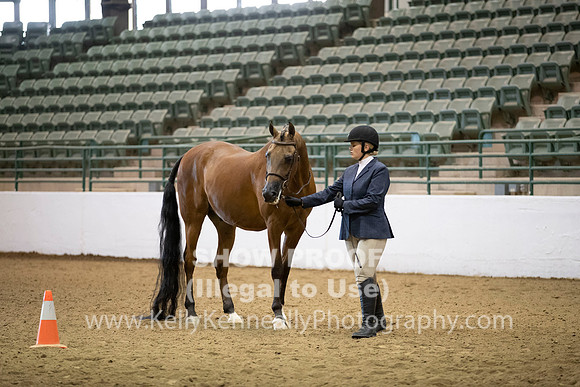 R319_MonAM_0178