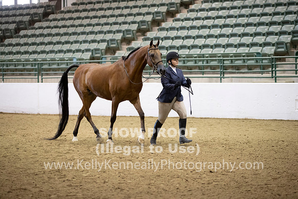 R319_MonAM_0180