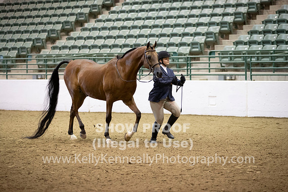 R319_MonAM_0181