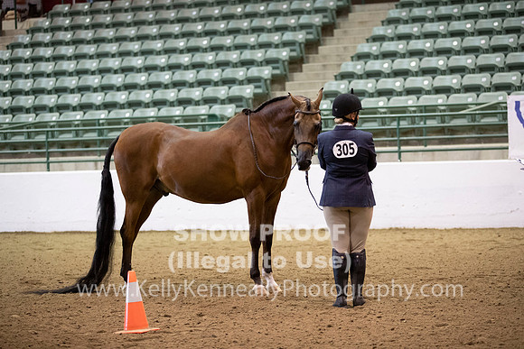 R319_MonAM_0182