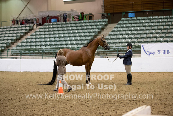 R319_MonAM_0183