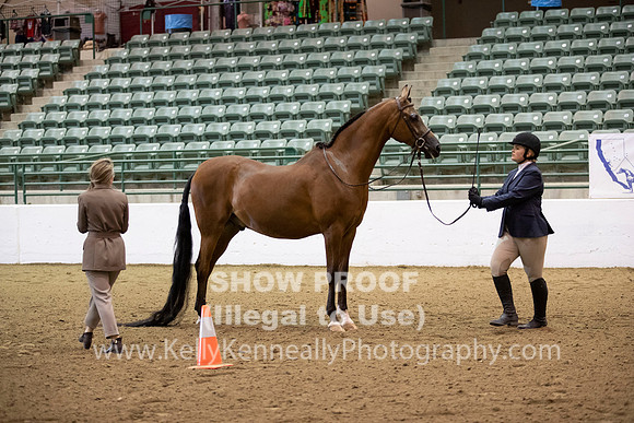 R319_MonAM_0184