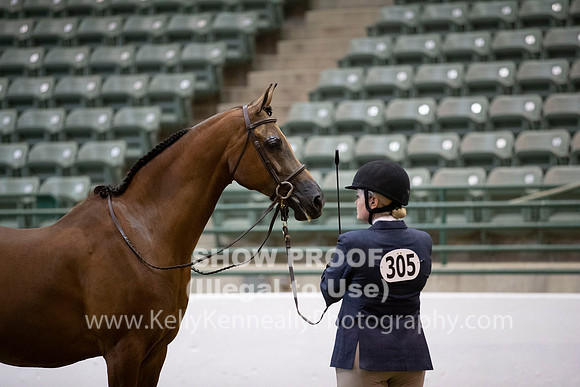 R319_MonAM_0185