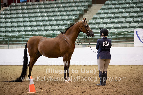 R319_MonAM_0186