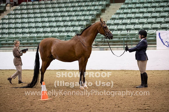 R319_MonAM_0187
