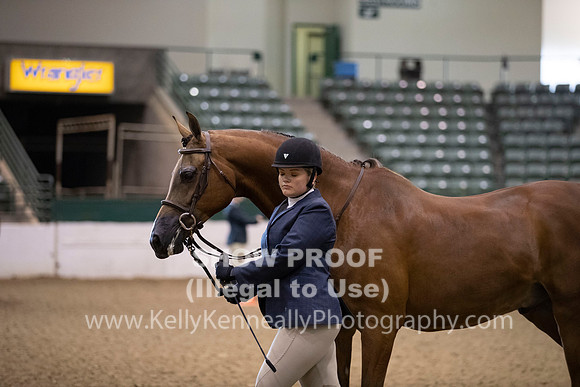 R319_MonAM_0191