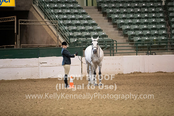 R319_MonAM_0193