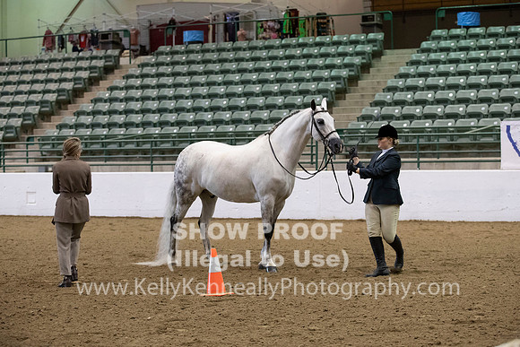 R319_MonAM_0197